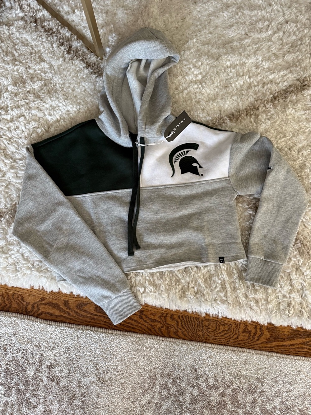 Michigan State Color-Block Hoodie - Picture 2 of 4